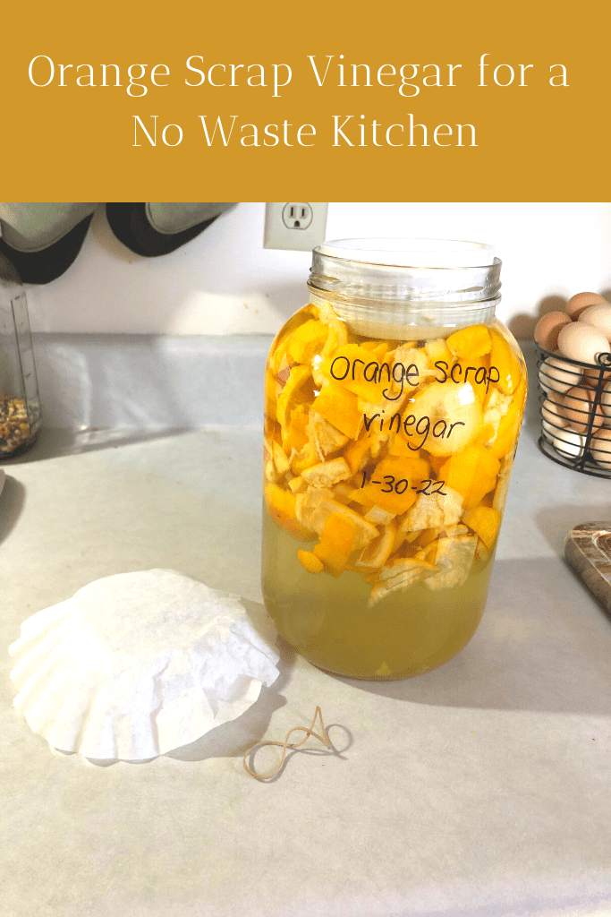 Glass mason jar sitting on a counter, full of zested orange peel scraps and covered with sugar water and topped with a white ramekin.