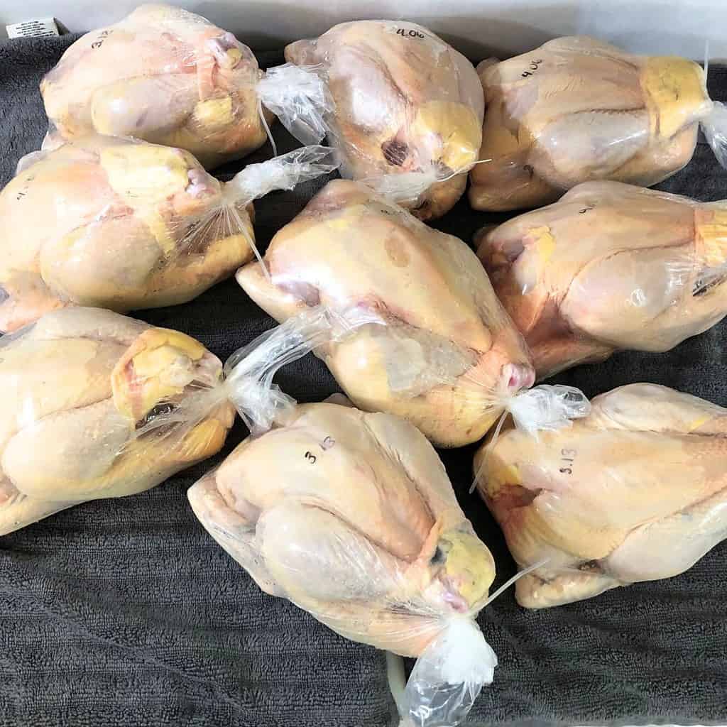 Nine whole chickens shrink-wrapped on a grey towel.
