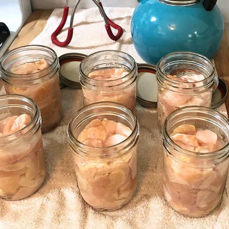 Pint jars of home-canned chicken on a white towel on the counter.