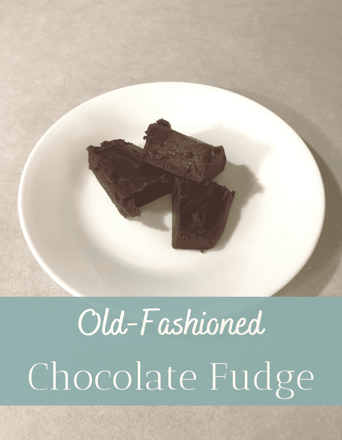 Old-fashioned chocolate fudge squares on a white plate.