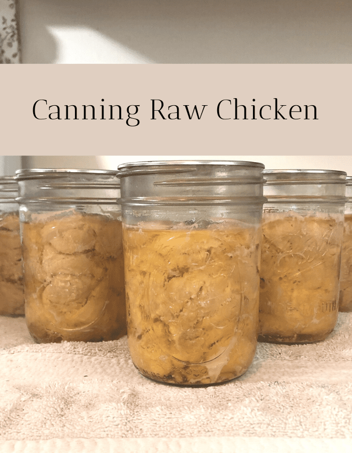 Pint jars of home-canning chicken on a white towel on the counter. The title at the top of the picture says "Canning Raw Chicken."