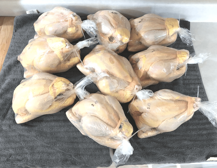 Nine frozen whole chickens in shrink-wrap bags on grey towels on the kitchen counter.