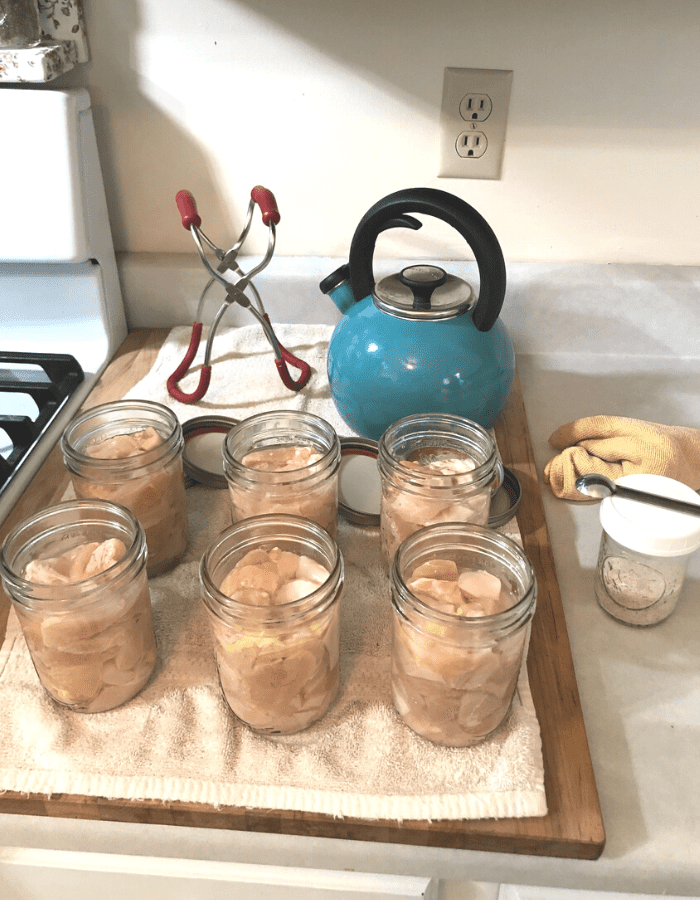 Six pint size mason jars with chicken breast chunks inside, a red jar lifter, a turquoise water kettle, a yellow rag, and a jar of sea salt with a half-tablespoon resting on top.  All on a kitchen counter.