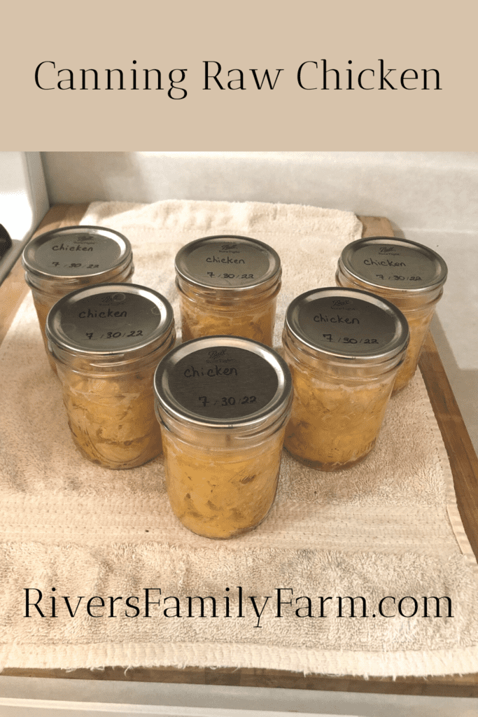Six sealed pint-size mason jars with canned chicken sitting on a white towel and wooden cutting board on the counter. The title at the top of the picture says "Canning Raw Chicken."