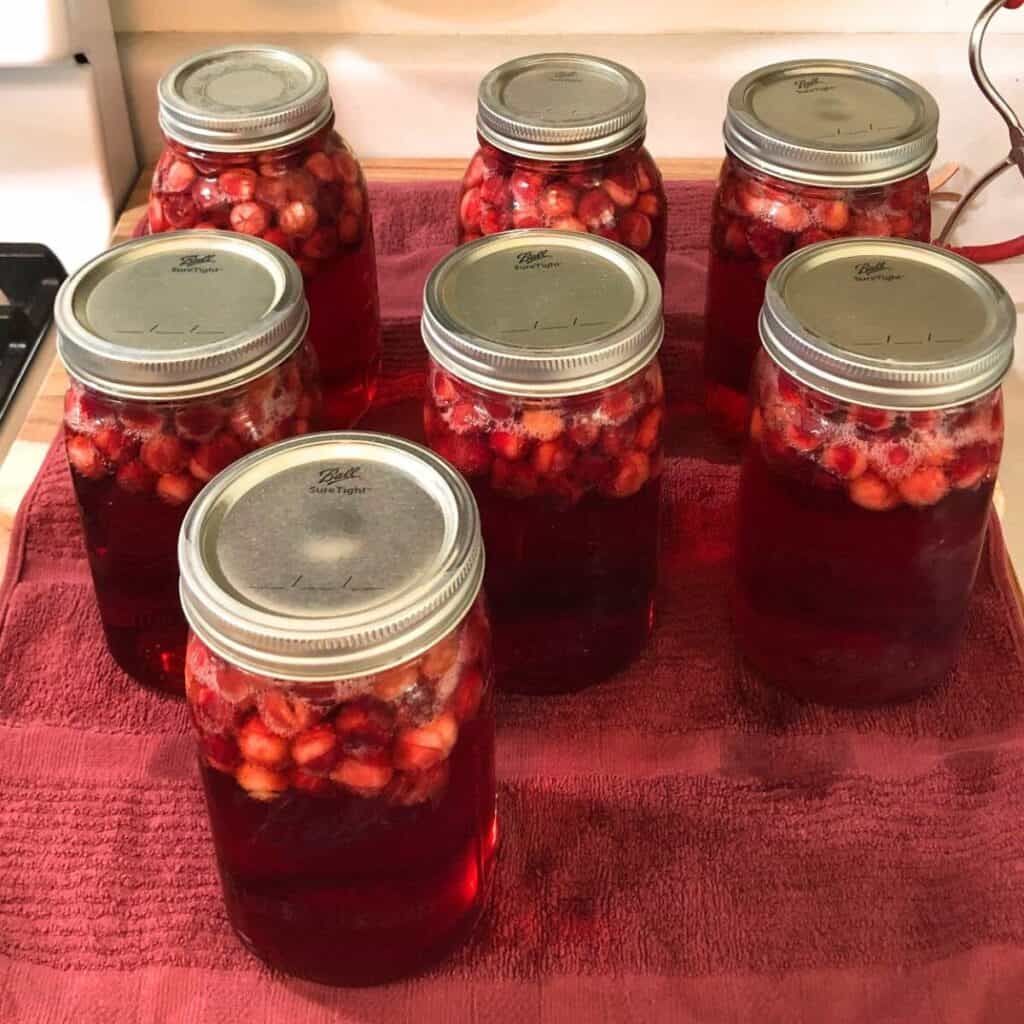 Quart mason jars filled cranberry juice sitting on a red towel on a kitchen counter.