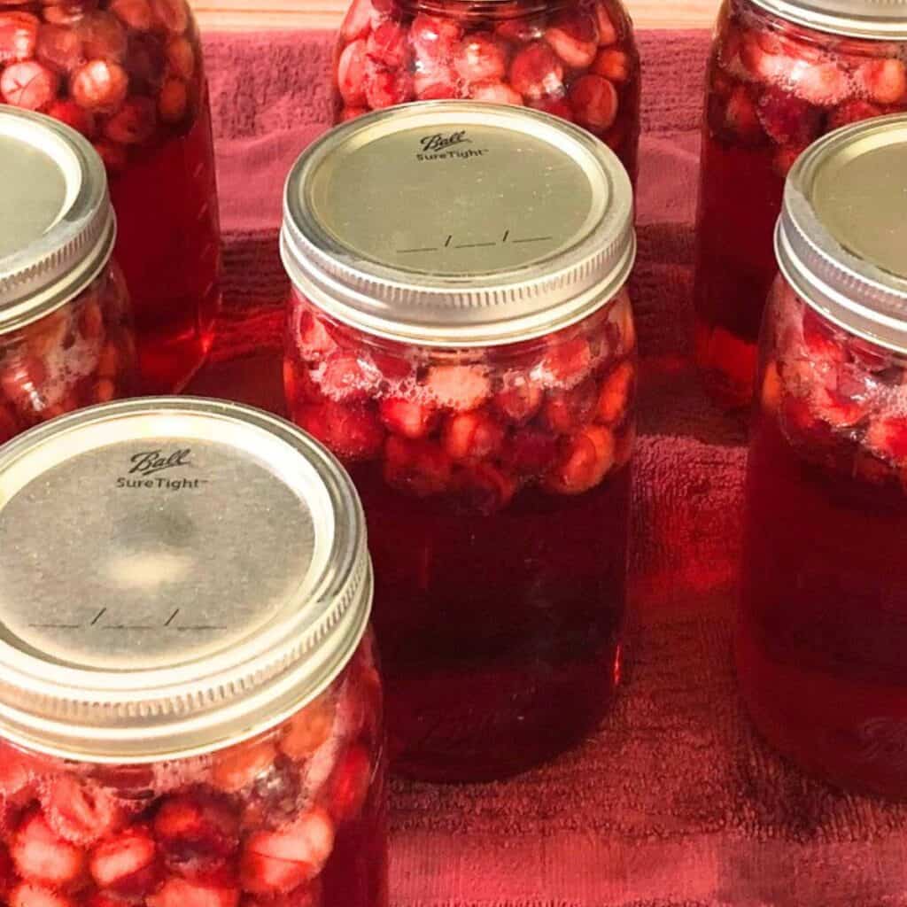 Quart mason jars filled cranberry juice sitting on a red towel on a kitchen counter.