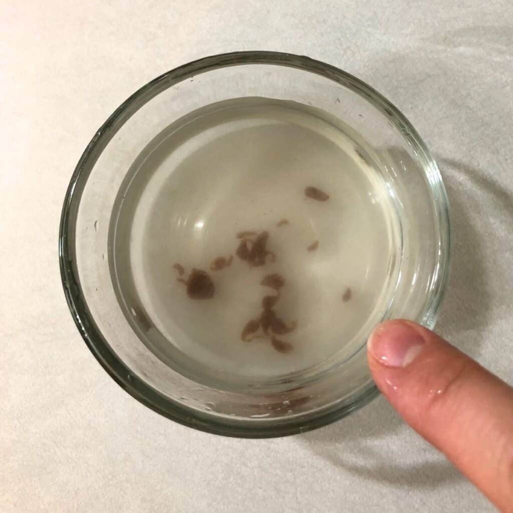 Woman pointing to a small glass bowl of water with a few drops of chocolate fudge in the bottom. The fudge drops formed a soft ball in the bottom of the bowl.