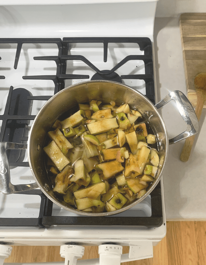 A stainless steel pot of apple cores covered with water on the stove.