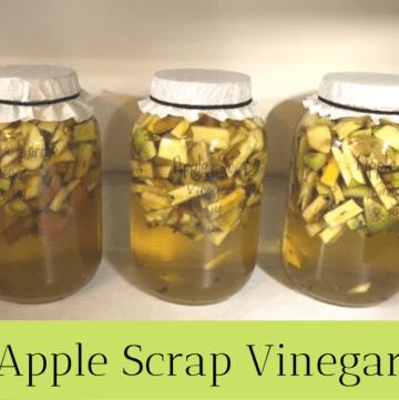 Glass mason jars filled with apple scrap vinegar.