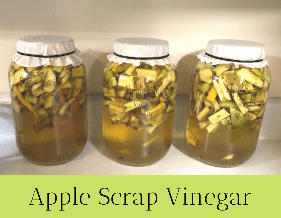 Three gallon size mason jars filled half-way with apple scraps, sugar, and water to ferment into apple scrap vinegar.