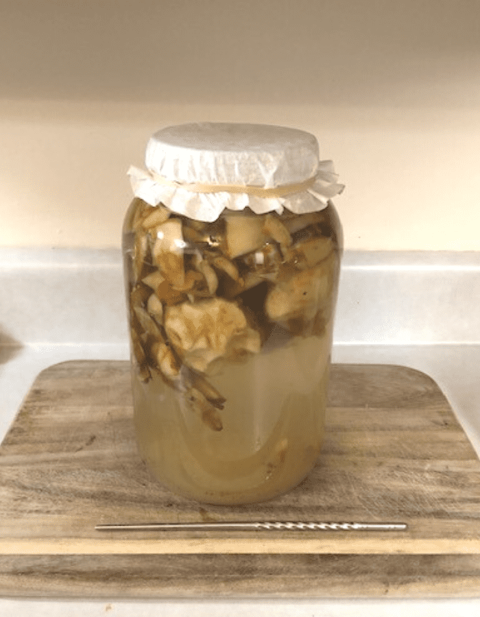 A glass jar filled half-way with apple scraps, sugar, and topped with water and covered with a white coffee filter and rubber band, sitting on a wooden cutting board on the counter. A stainless steel chopstick is resting on the wooden cutting board beside the glass jar.