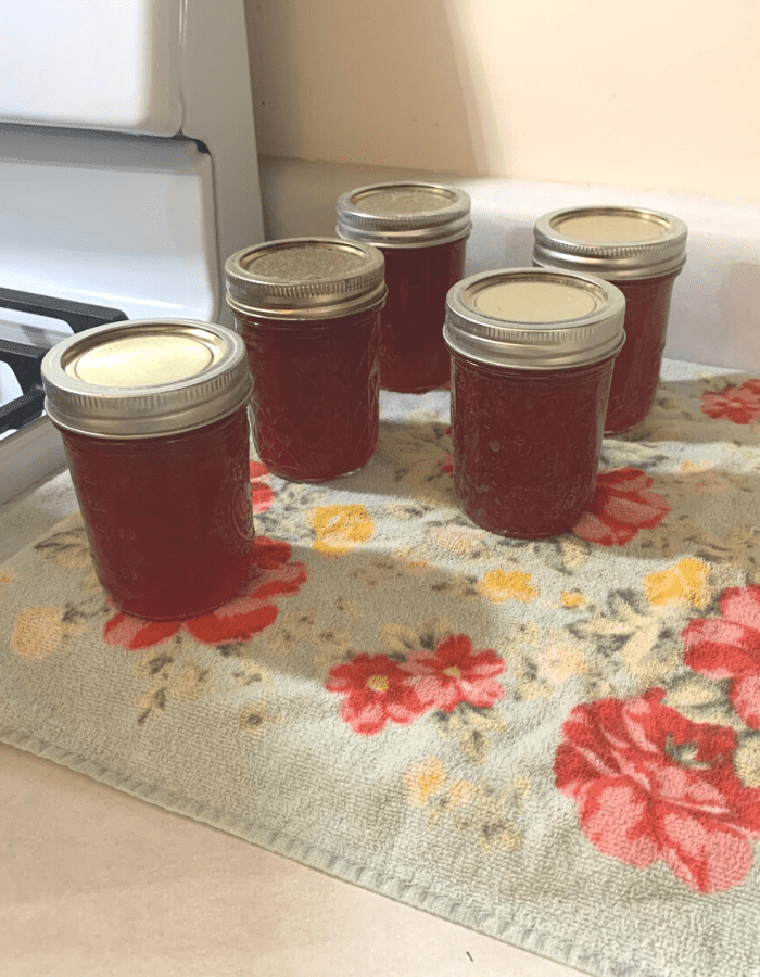 Five half-pint jars filled with cranapple jelly sitting on a flowered kitchen towel on the counter.