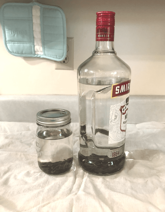 A glass pint jar and a larger glass vodka bottle filled with clear vodka with cut up vanilla beans at the bottom of the jars, sitting on a white flour sack towel on the counter.