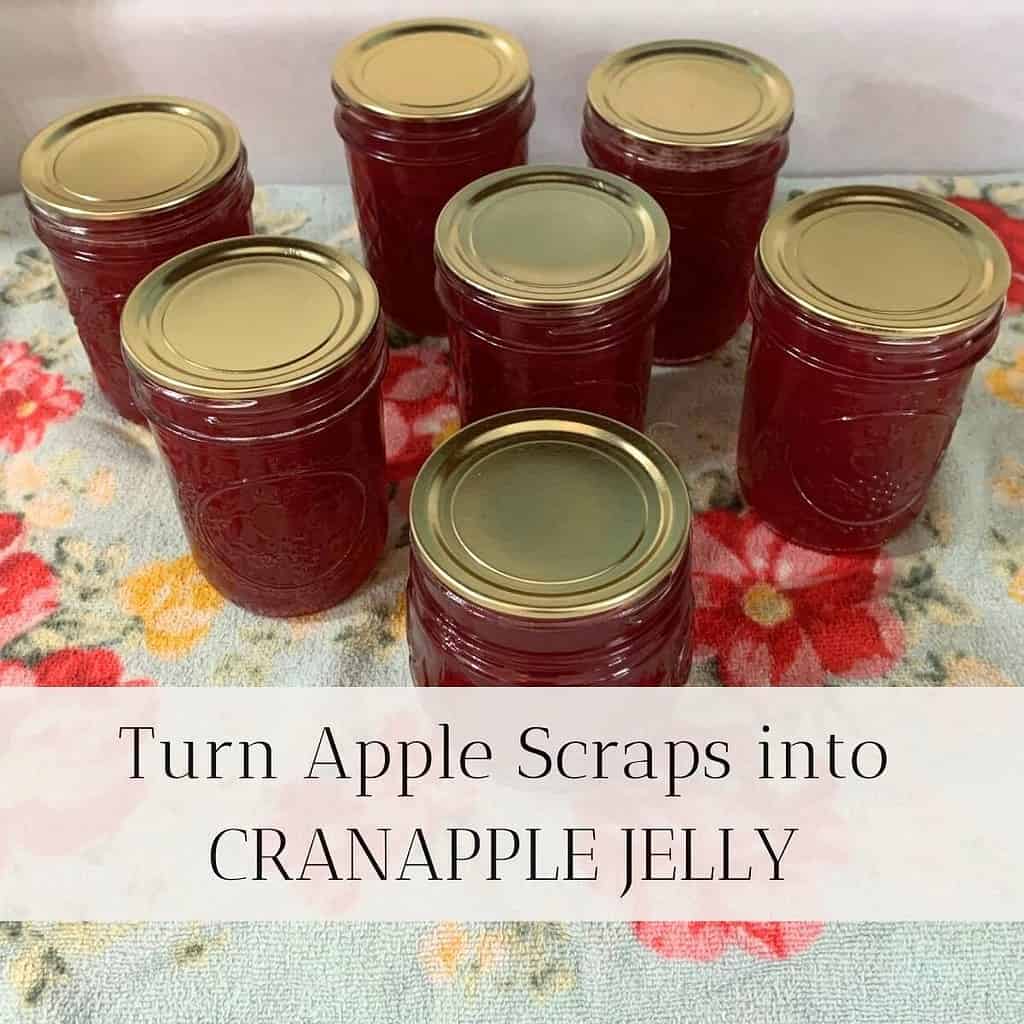 Seven mason jars of cranapple jelly with gold lids on a blue towel with red and yellow flowers. The title is "Turn Apple Scraps into Cranapple Jelly."
