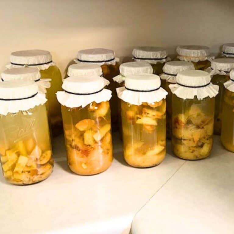 A dozen half-gallon glass mason jars on a kitchen counter, filled with apple scraps, water, and sugar. A coffee filter, secured by a rubber band, are on each jar.