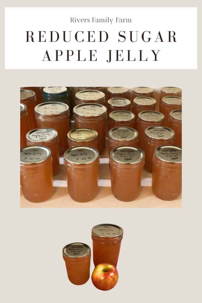 More than a dozen pint mason jars of reduced sugar apple jelly sitting on a kitchen counter along with a red apple. The title is "Reduced Sugar Apple Jelly" by Rivers Family Farm.