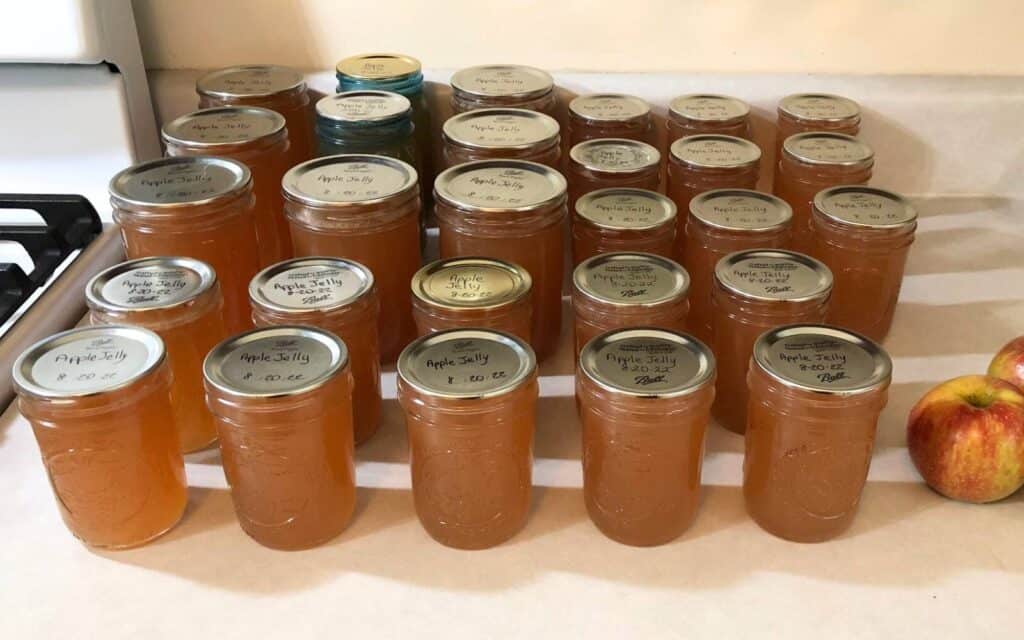 Several mason jars of home canned apple jelly sitting on a kitchen counter.