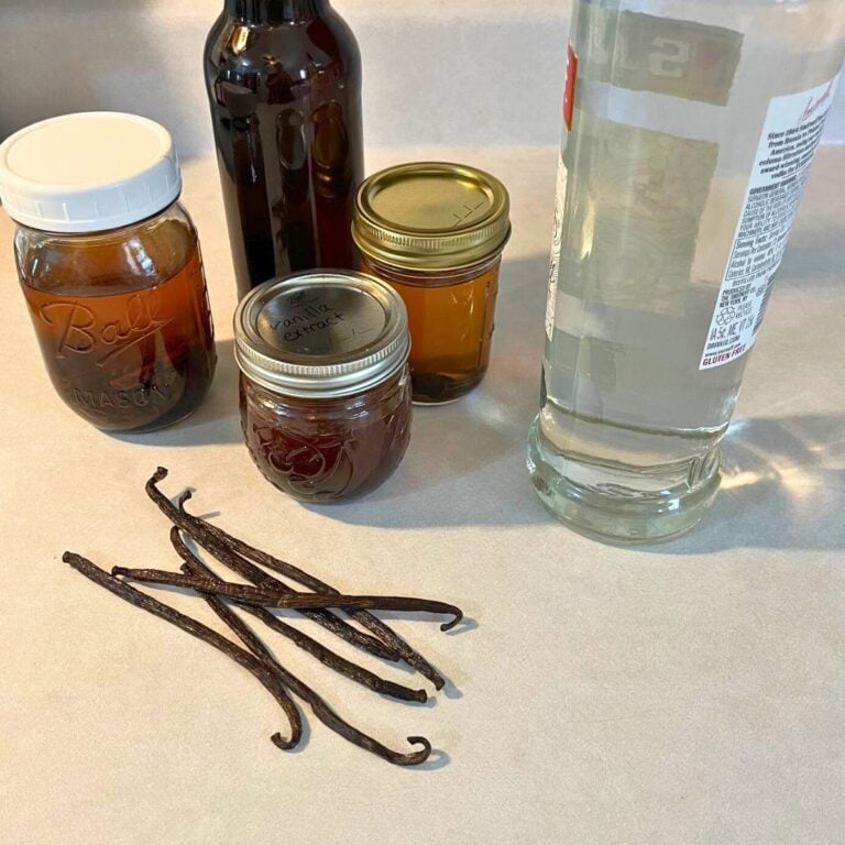 Vanilla beans on a counter next to jars of homemade vanilla extract and a bottle of clear extract.