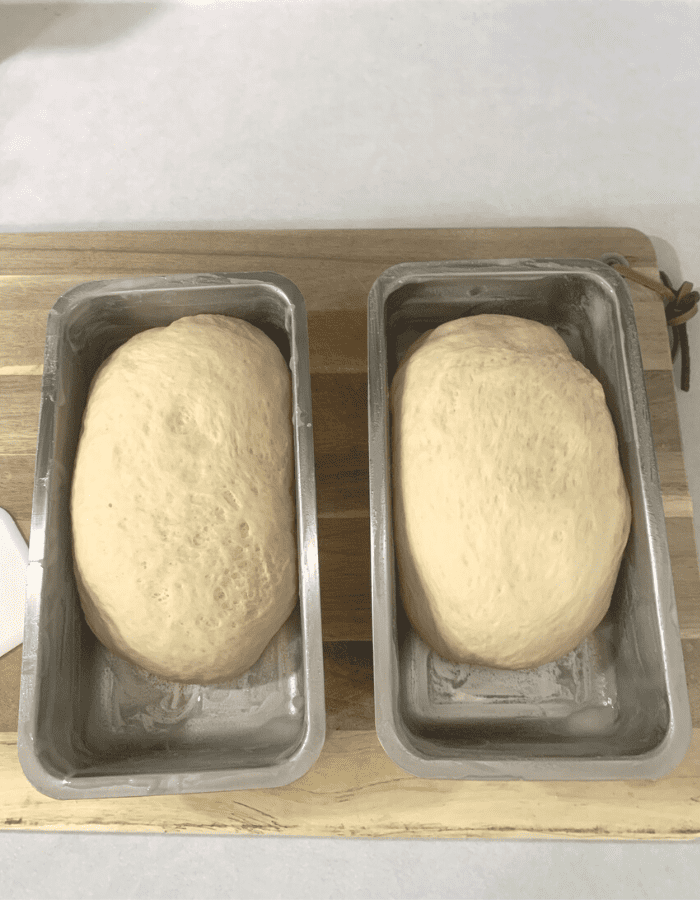 Two bread dough loaves placed in well-greased stainless steel bread pans sitting on a wooden cutting board.