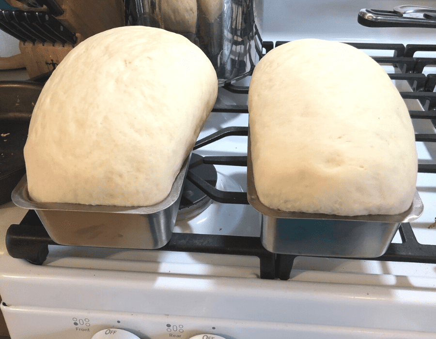 Two rising bread dough loaves in stainless steel bread pans sitting on the stove.