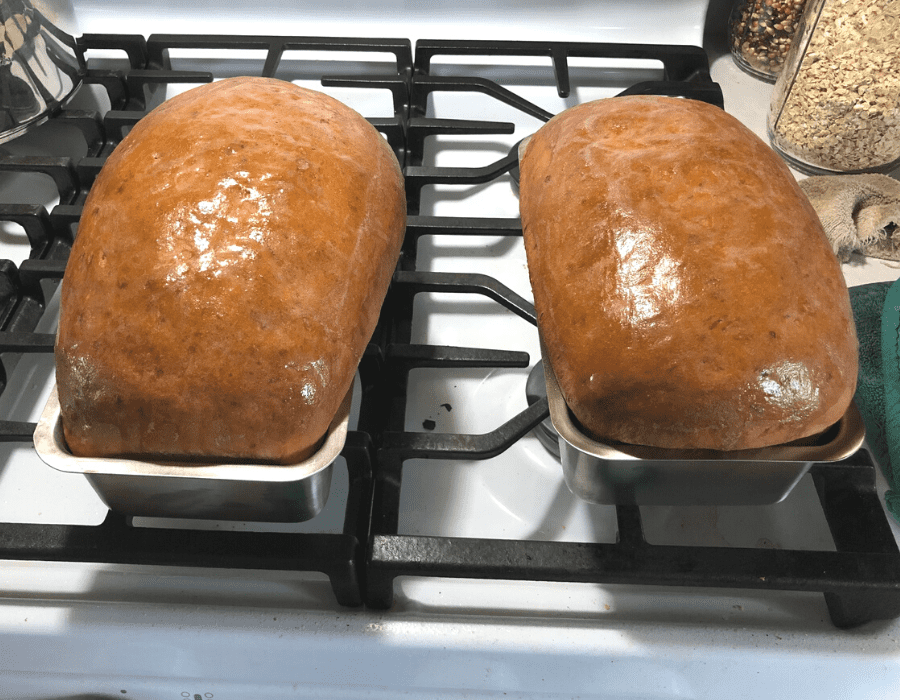Two loaves of glossy brown sandwich bread in stainless steel bread pans sitting on top of a stove.