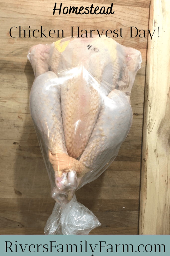 A shrink-wrapped whole fryer chicken on a wooden cutting board. 