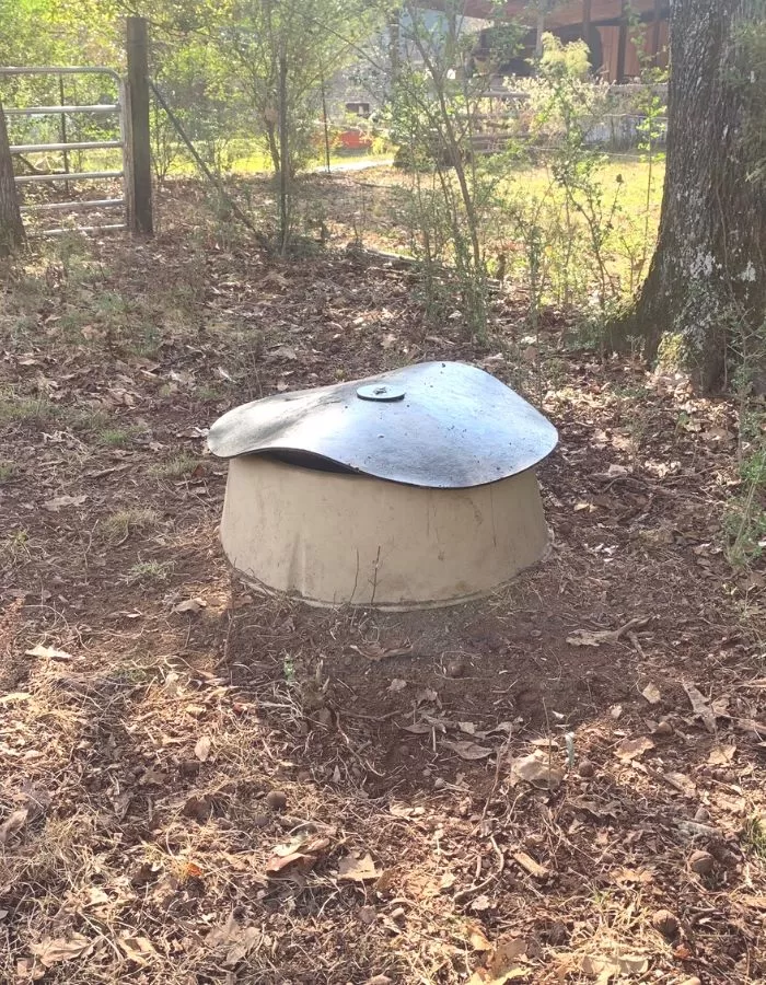 A cow mineral feeder in front of trees.