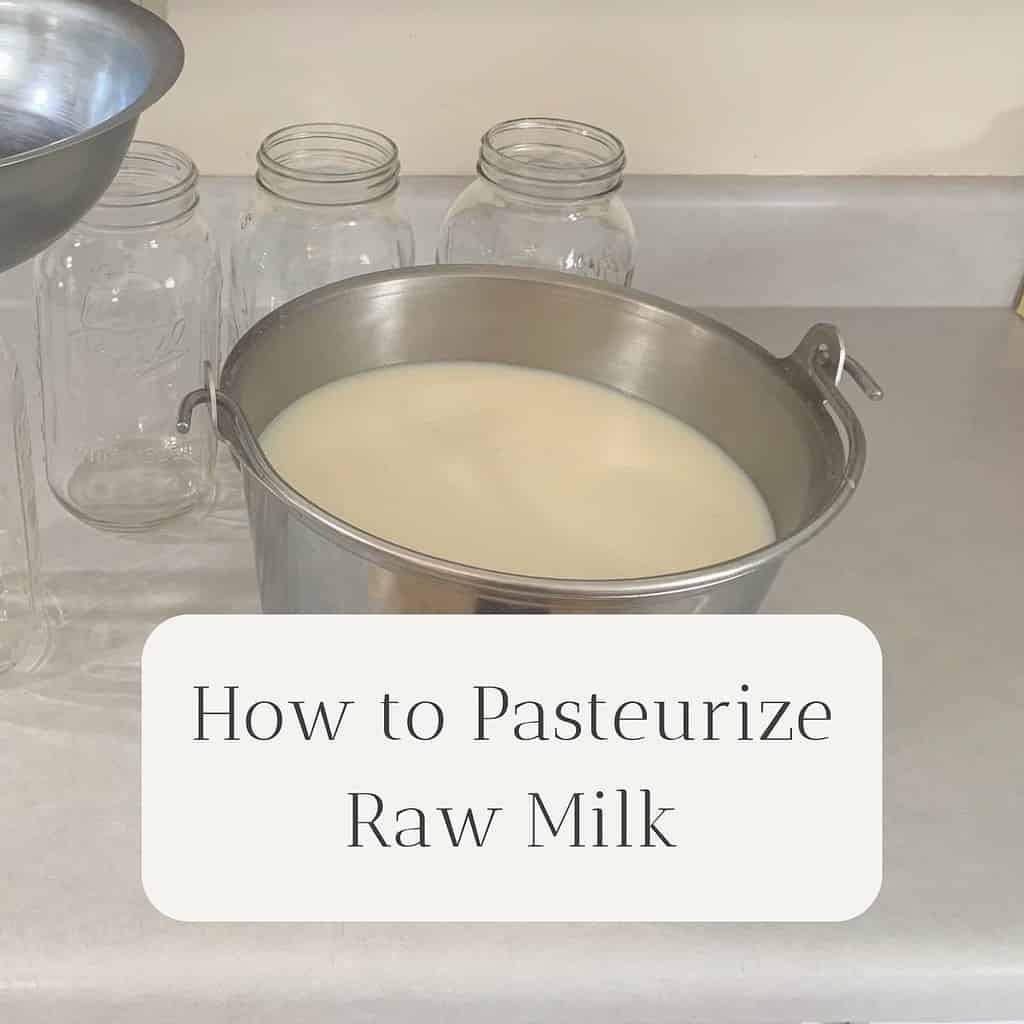 A large stainless steel bucket filled with raw milk and empty half-gallon mason jars sitting on a kitchen counter. The title is "How to Pasteurize Raw Milk."