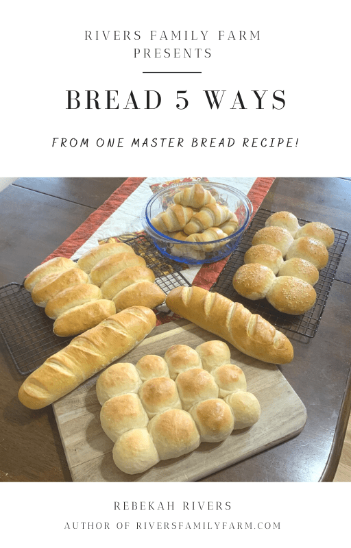 Ebook cover for Bread 5 Ways.