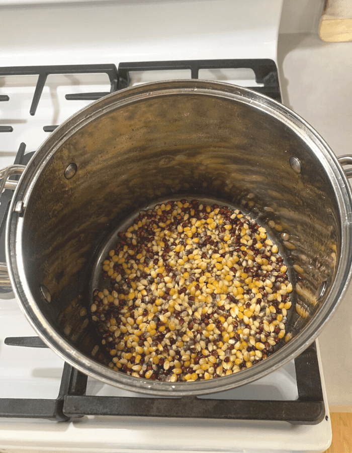 Popcorn kernels in the bottom of a stainless steel pot on the stove.