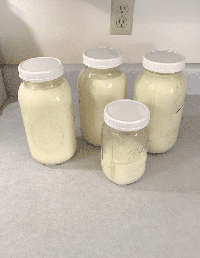 Half-gallon mason jars filled with raw milk sitting on a kitchen counter.