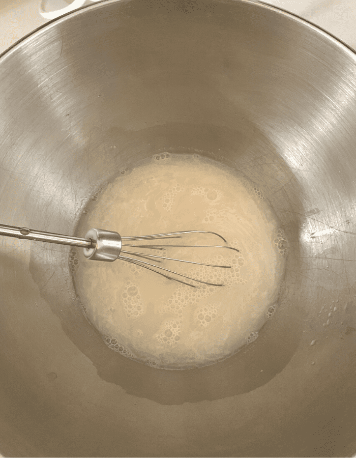 Mixing bowl with water, salt, and instant dry yeast.