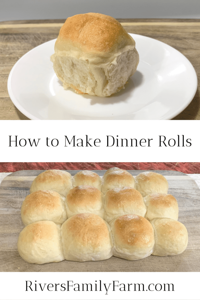 A dinner roll on a white plate and twelve dinner rolls on a wooden cutting board.