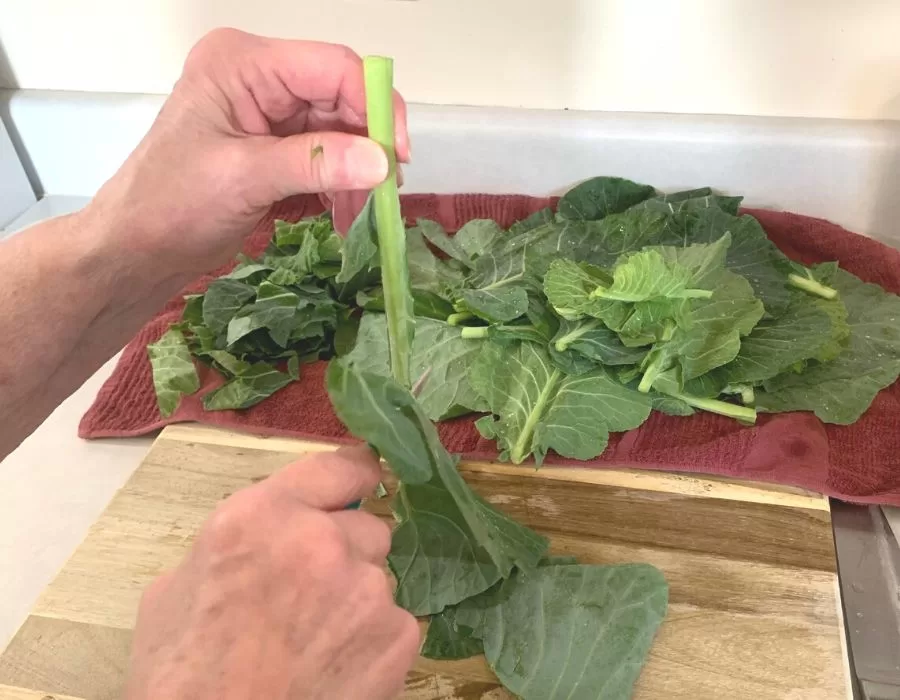 Woman cutting collard green leaves off the center rib. Southern Black Eyed Peas and Collard Greens.