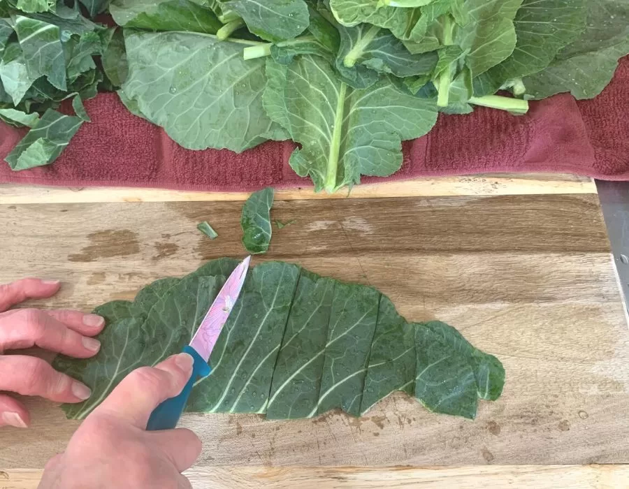 Woman slicing collard green leaves. Southern Black Eyed Peas and Collard Greens.