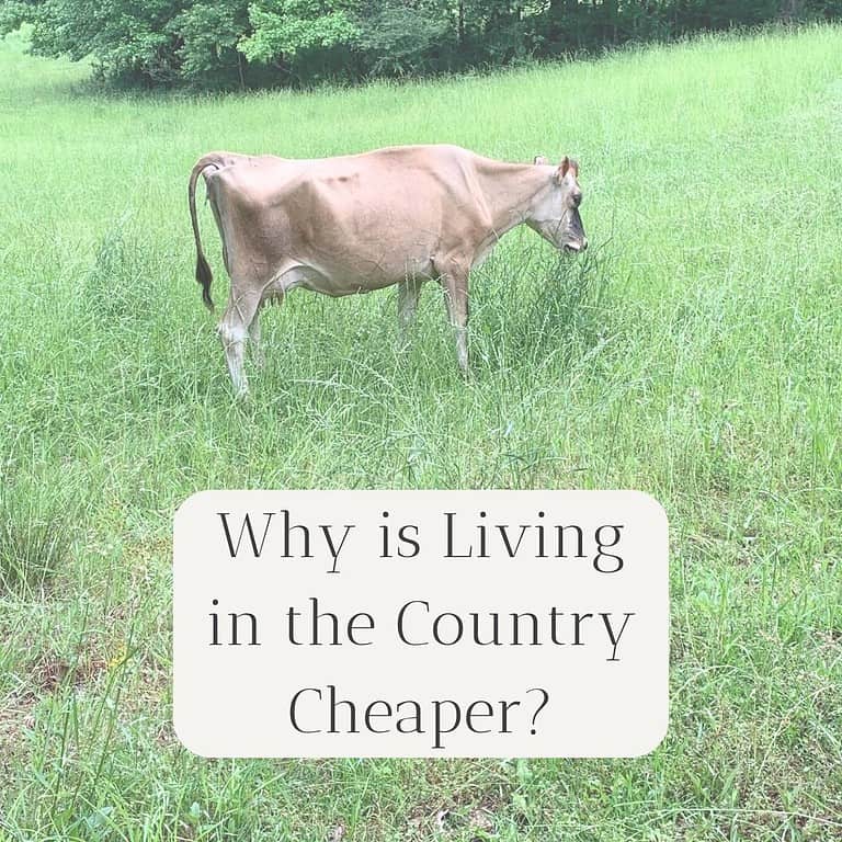 Picture of a farm pasture with rolling hills and a cow is grazing. The title is "Why is Living in the Country Cheaper?"