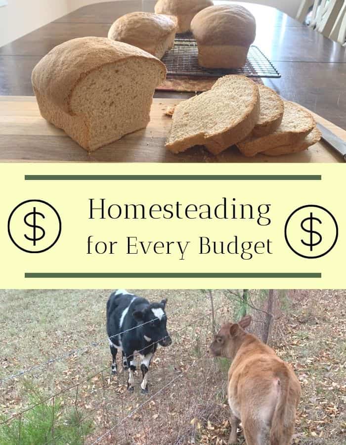 Homesteading for Every Budget - Rivers Family Farm - Homesteading Budget Breakdown