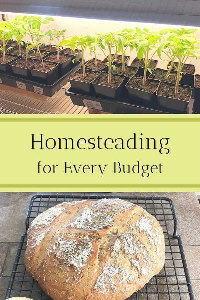 Started seeds on wire shelves with shop lights and a loaf of fresh bread cooling on a wire rack on a kitchen counter. The title is "Homesteading for Every Budget."