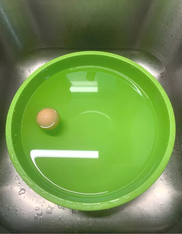 A floating egg in a green bowl filled with water.