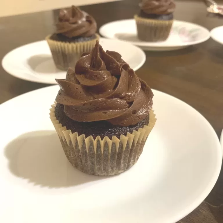 Chocolate cupcakes on a white plate.