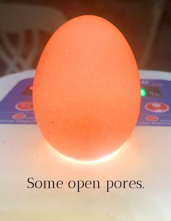 Candling a chicken egg with some open pores, is an acceptable candidate for incubation.