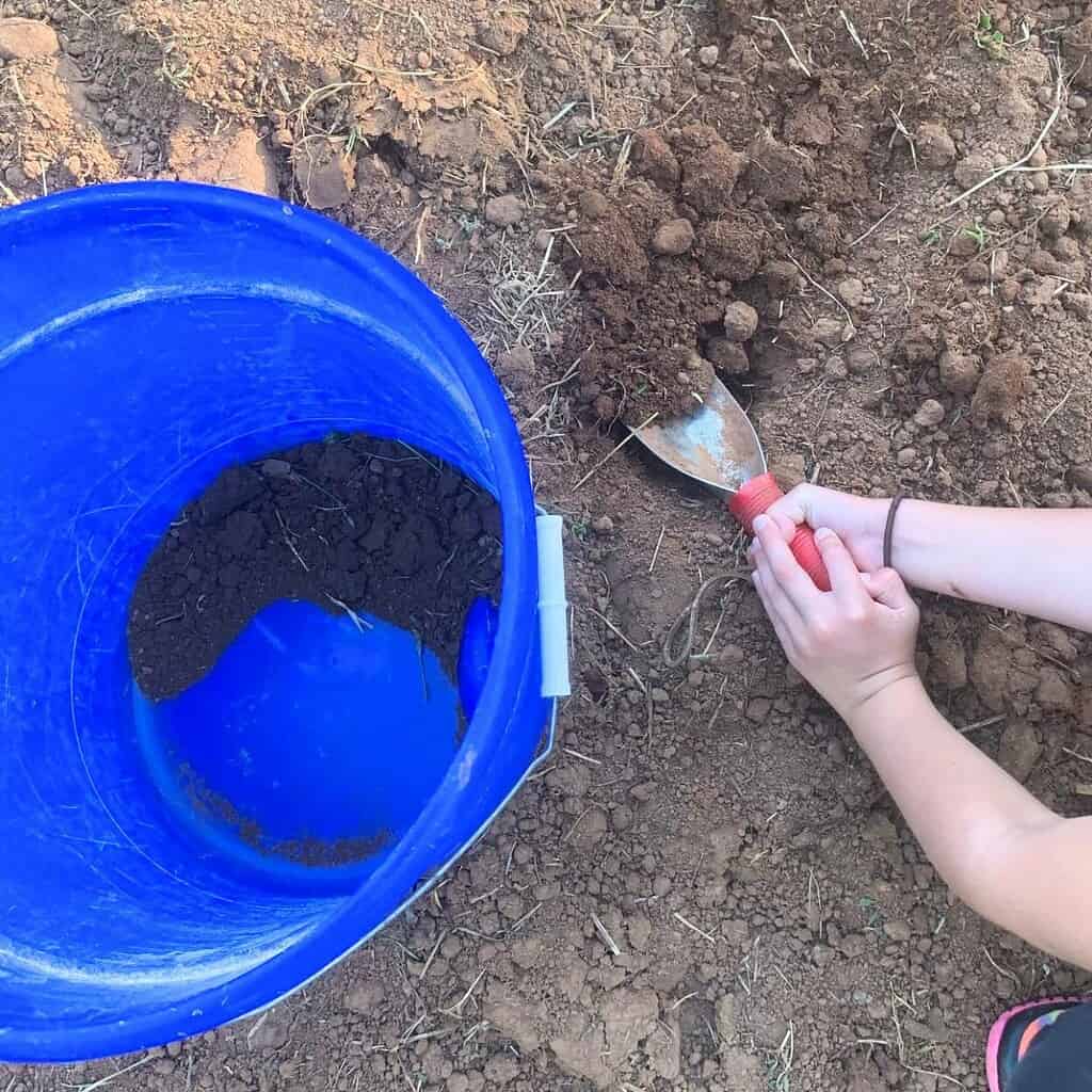 Little girl shoveling soil and putting it into a blue bucket.