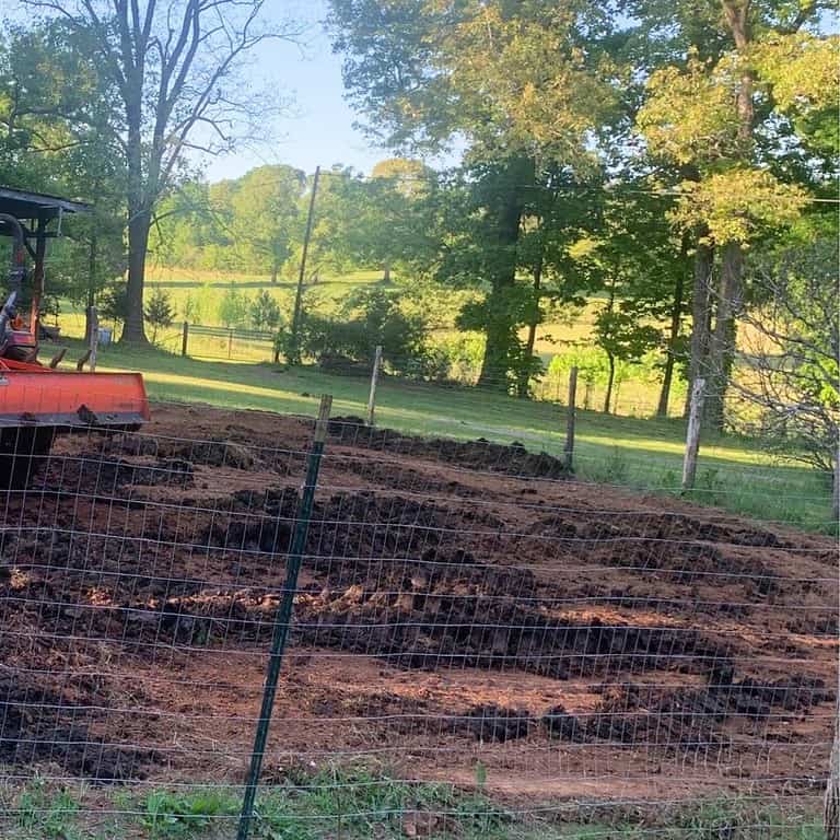 Fenced garden with orange tractor spreading out composted cow manure.