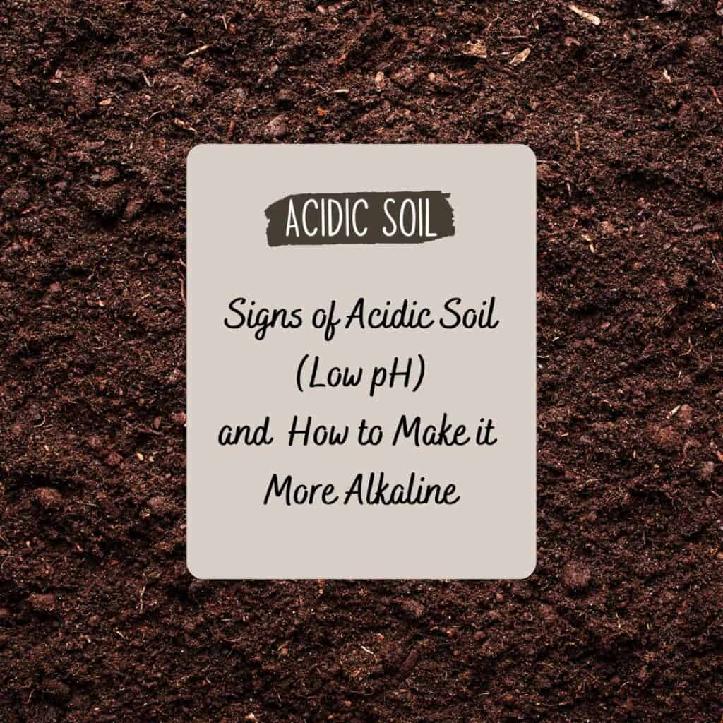 "Signs of Acidic Soil (Low pH) and How to Make it More Alkaline" title over a brown soil background.