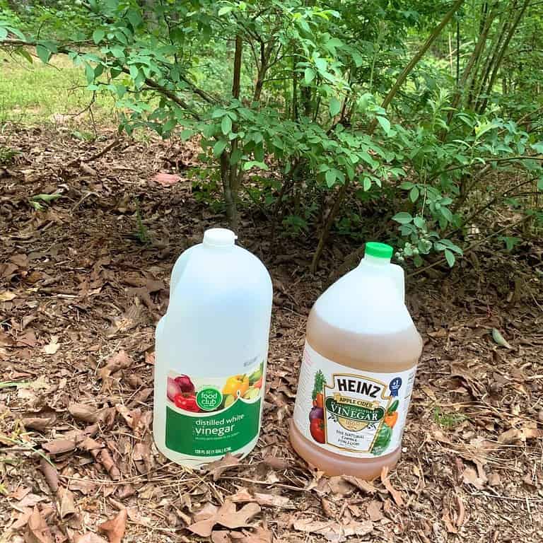 Using Vinegar to Acidify Soil (Lower pH) for Blueberries - Rivers ...