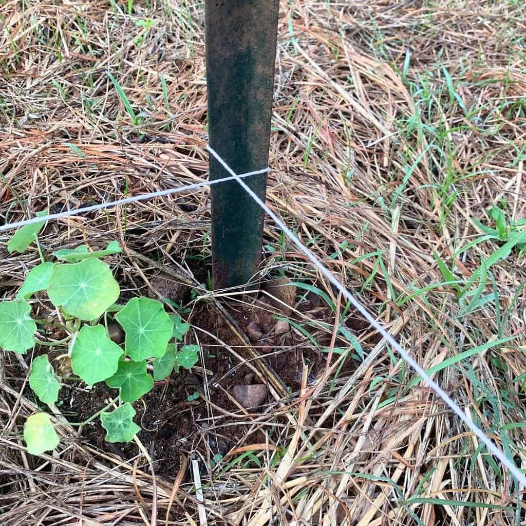 A green fence post with white cotton string wrapped around it.