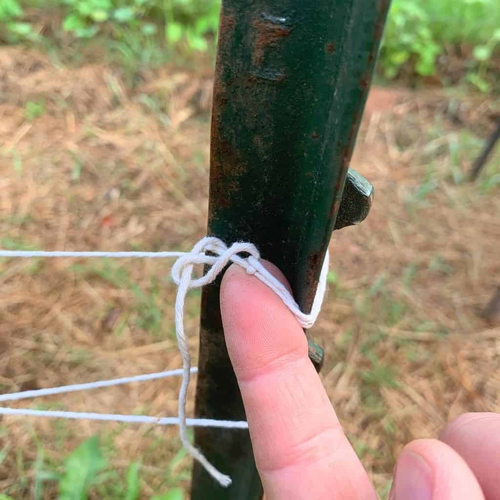 Woman pulling a knot on white cotton string around a green fence post.