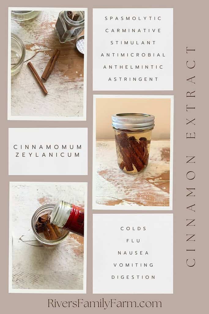 Cassia vs ceylon cinnamon. Cinnamon sticks inside a half-pint mason jar filled with vodka and topped with a lid. The title is "cinnamon extract" and "Cinnamomum zeylanicum." Another picture shows cinnamon sticks laying on a chipped, white dresser and some inside a glass mason jar. A third picture shows a woman pouring vodka over the cinnamon sticks inside the glass jar. Medicinal properties and health benefits are also listed.