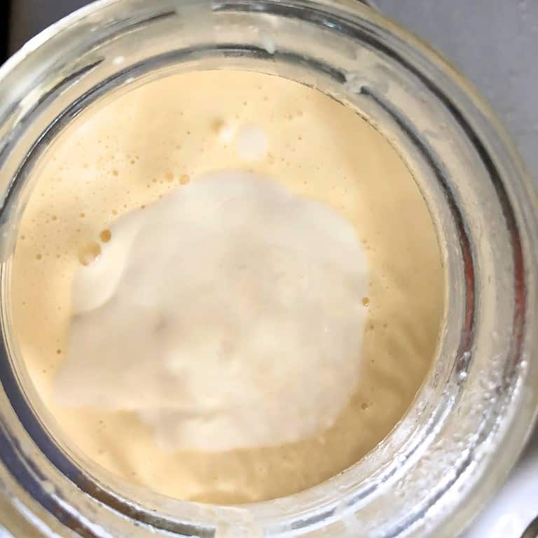 A glass jar of raw cream but the grass-fed cream is bright yellow to orange and the conventional raw cream is snow white.