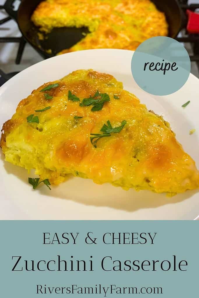 Cheesy zucchini casserole on a white plate with parsley garnish on top. The title is "EASY and CHEESY Zucchini Casserole Recipe" by Rivers Family Farm.